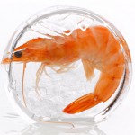 glazed_shrimp